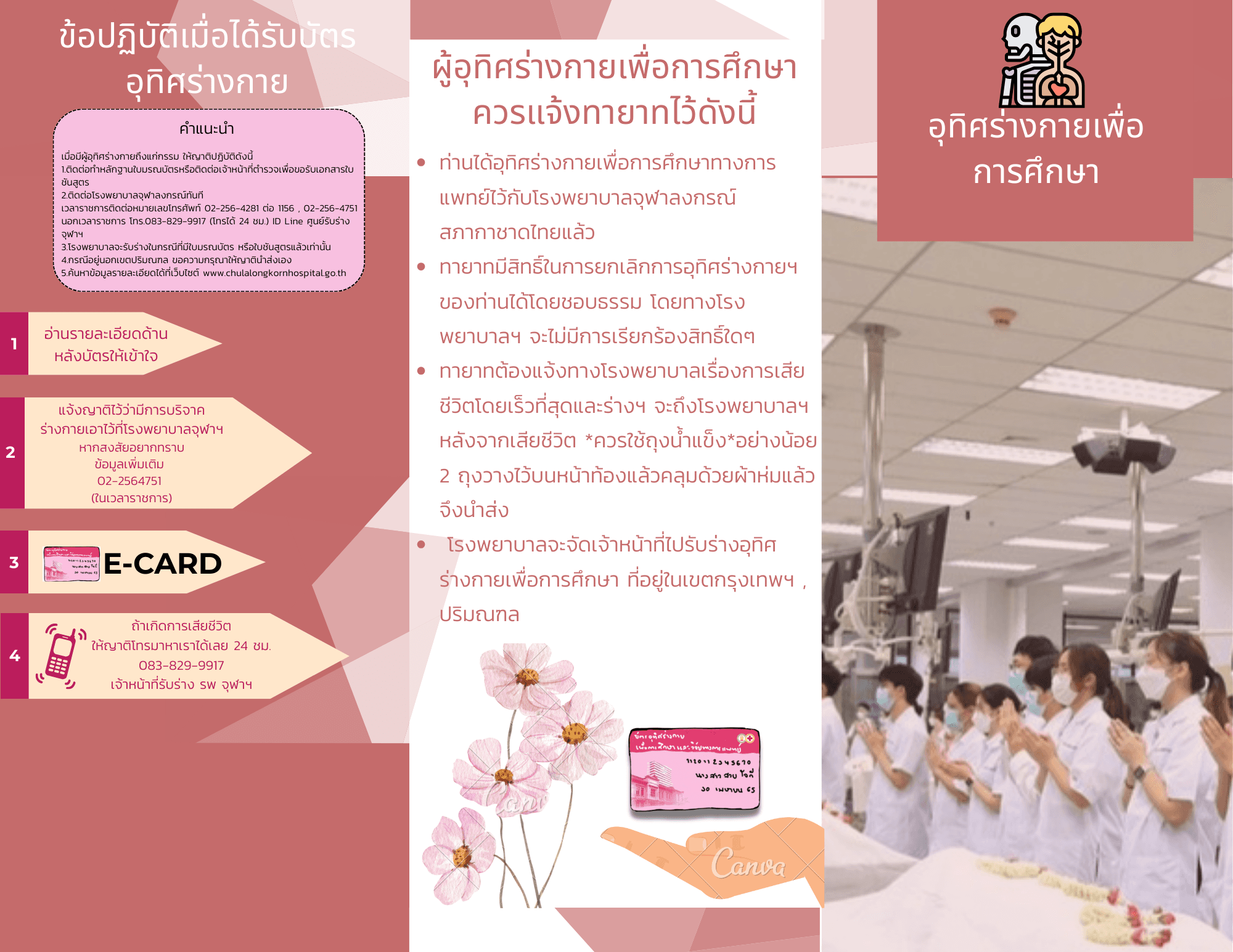 knowledge-infographic-1